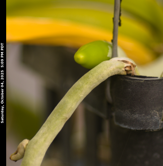 Greenhouse Sensors: Version 1