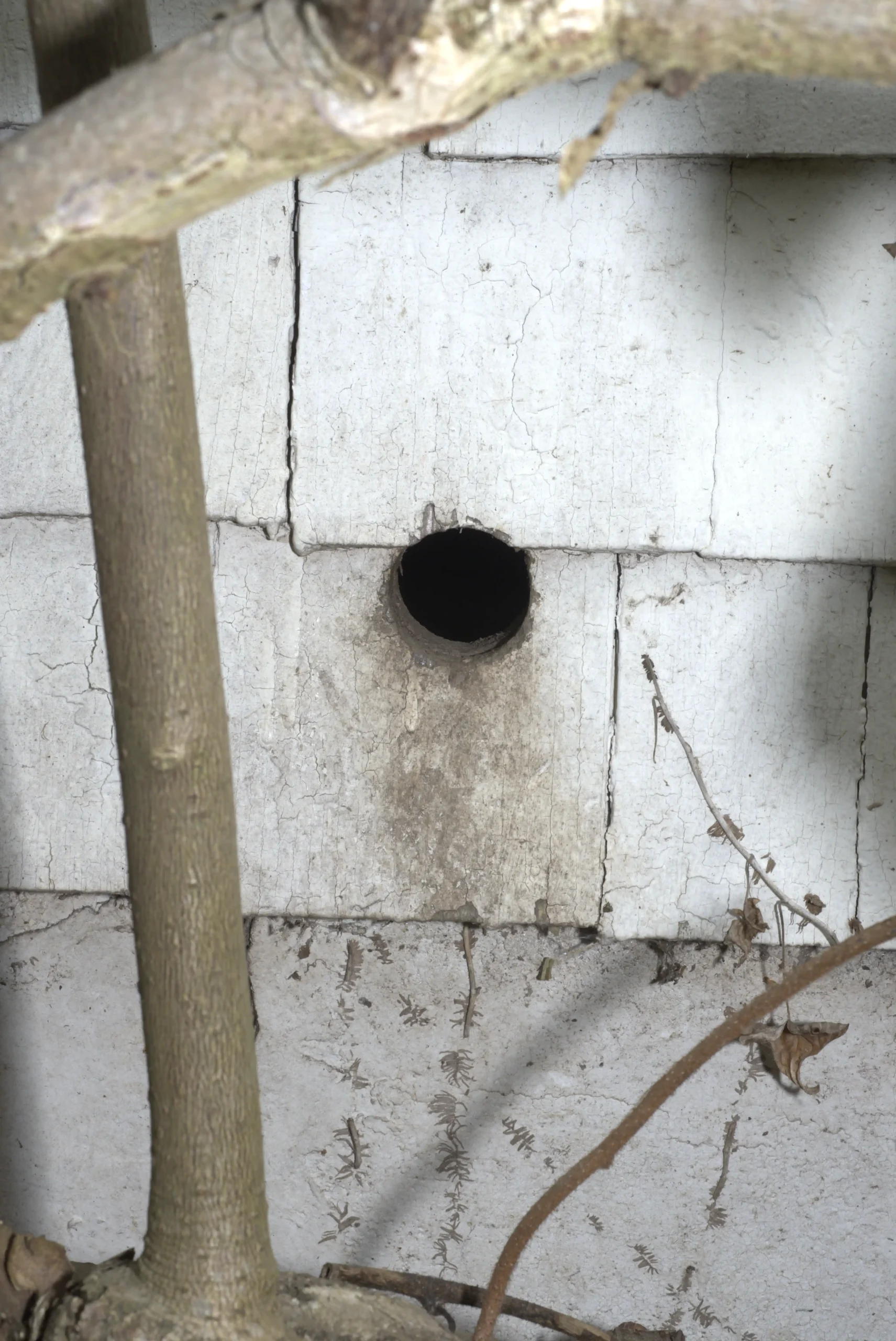 White shingled exterior wall with a 2" hole and dirt smudges below the hole.