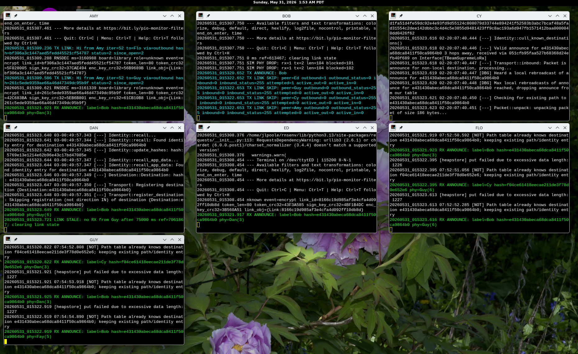 screenshot of 7 command consoles on a Linux desktop